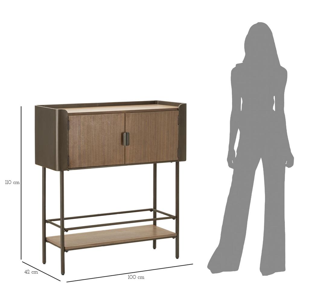 Cabinet Toronto Cm 100X42X110