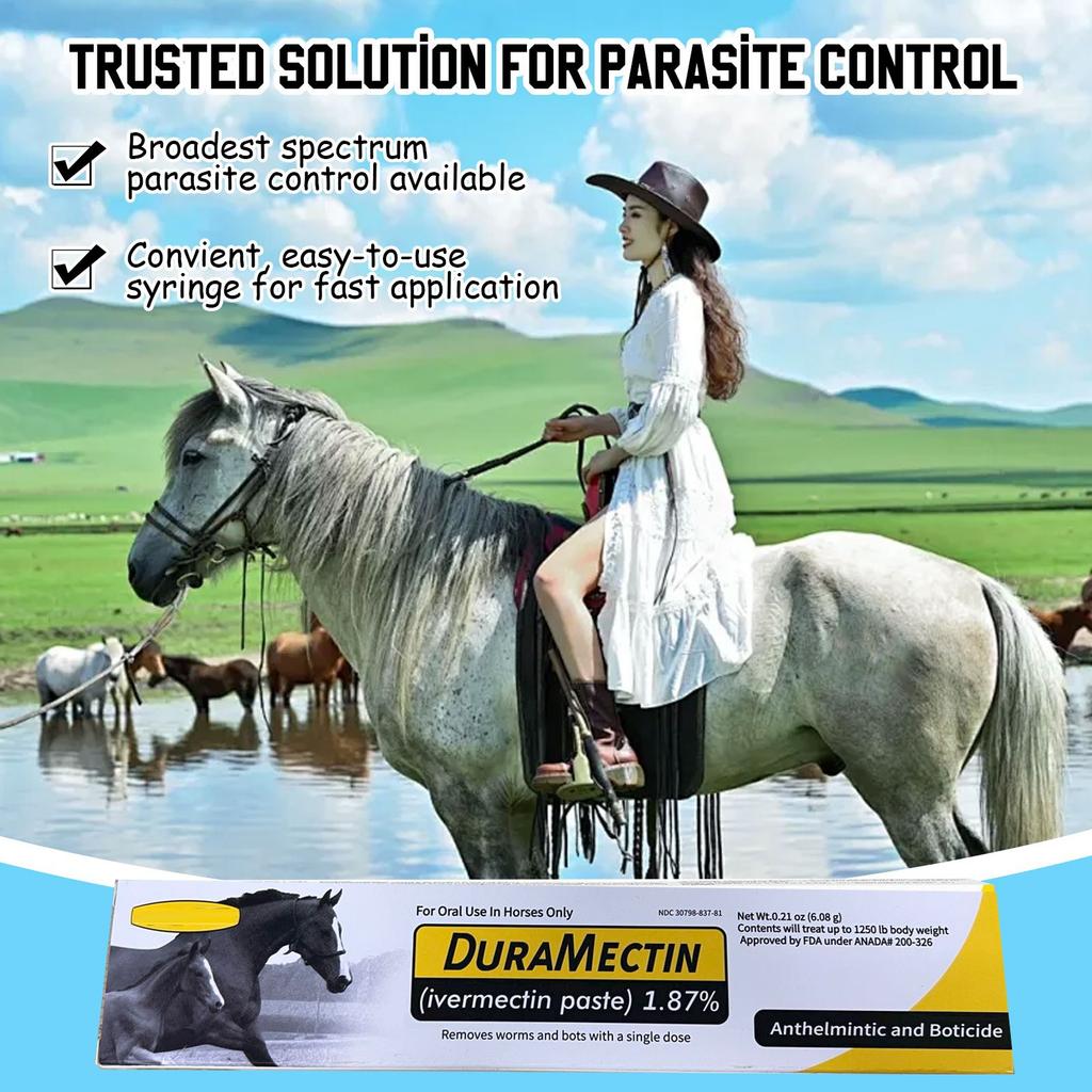 Flavored Horse Anthelmintic, Can Control Big Strongyle, Small Strongyle, Pinworm, Roundworm, Caterpillar, Big Stomach Worm, Horse Gastropod