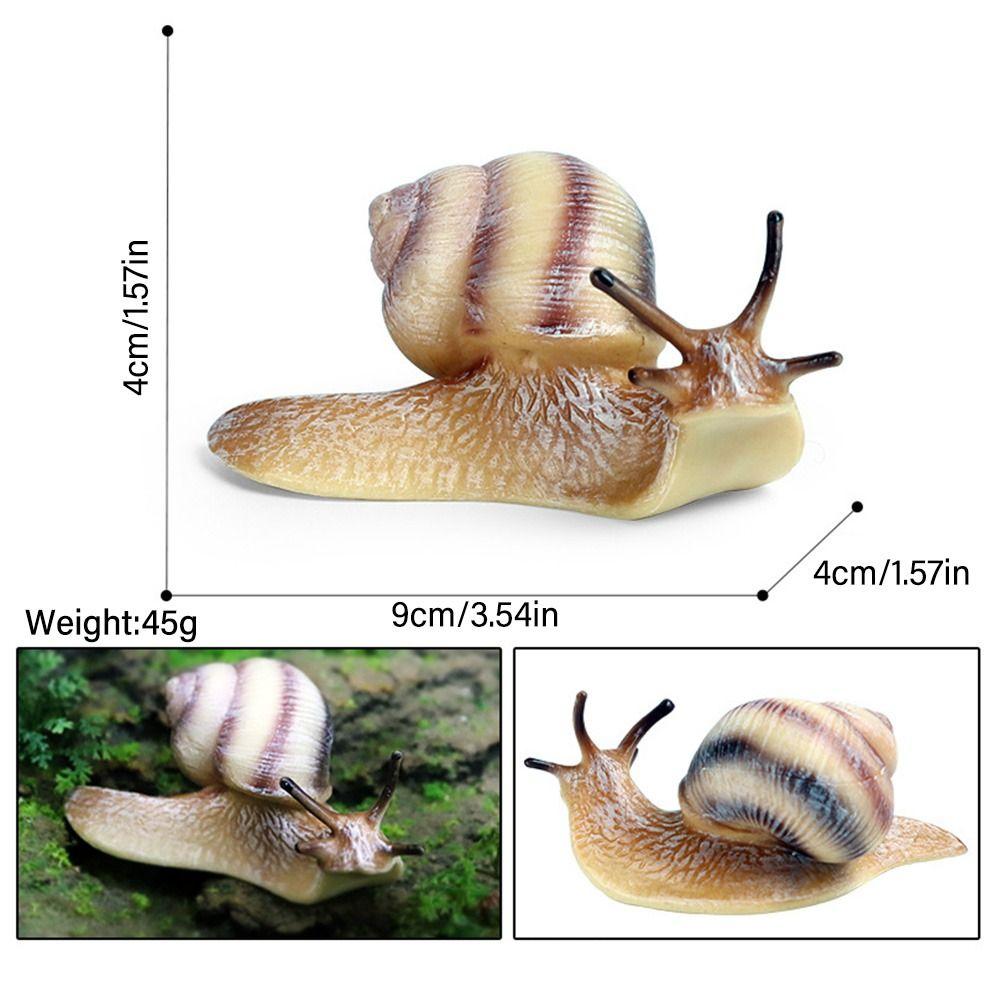 Decor Micro Landscape Decor for Fairy Garden Mini Animal Figures Snail Statue Snail Figurine Toy