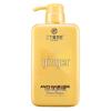 SANGEMOFAJIANG Ginger Anti-Hair Loss Shampoo 500ml