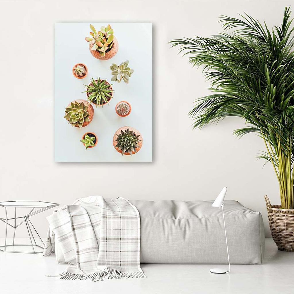 Canvas print, Plants in a pot