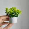 Lifelike Miniature Green Leaves Bonsai Green Mini Flower Pot Gift Dollhouse Potted Plant