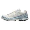 Кроссовки XT-6 Salomon 'Vanilla Ice Ballad Blue' L47738500