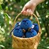 Blueberry Plush Keychain Fruit Stuffed Doll Pendant Soft Plush Toy Lucky Charm Anti Bad Luck Ornament Backpack Decor Small Gift