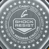 Casio Мужские часы G-SHOCK Resin 200M Водонепроницаемые Ударопрочные Цифровые Кварцевые DW-6900TR-4