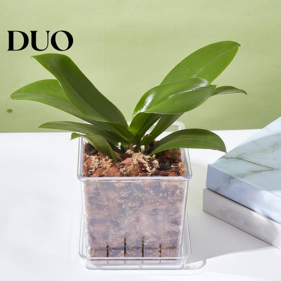 Clear Gardening Pot with Holes Orchid Planter Saucer, Square Plant Plastic Drainage Holes, Transparent Flowerpot for Phalaenopsis, Seedings Flower