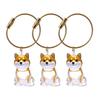 3Pcs Cat Hair Storage Box Keychain Transparent Acrylic Dog Hair Memorial Bottle Pet Hair Collector Container Key Ring Pet Owner Keepsake Gift