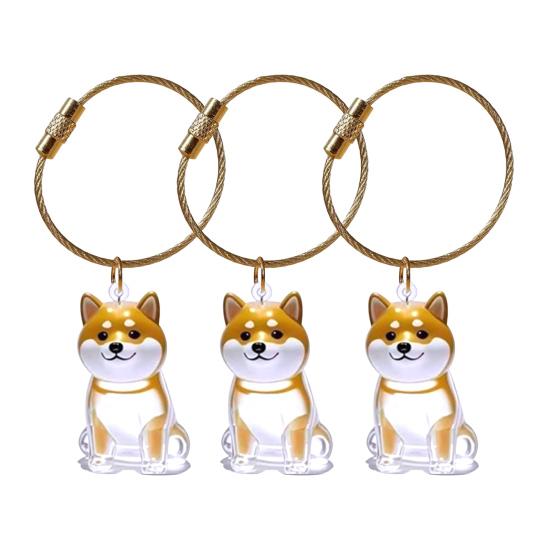 3Pcs Cat Hair Storage Box Keychain Transparent Acrylic Dog Hair Memorial Bottle Pet Hair Collector Container Key Ring Pet Owner Keepsake Gift