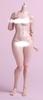 Scale Action Figure Worldbox AT202 White Skin Pale Skin Thick Version Asian Female Body [TOYBARJAPAN] 1/6