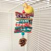 Bird Grinding and Entertainment Molar Toy Made with Natural Material and Food Grade Dyes Enhances Bird Molar Health