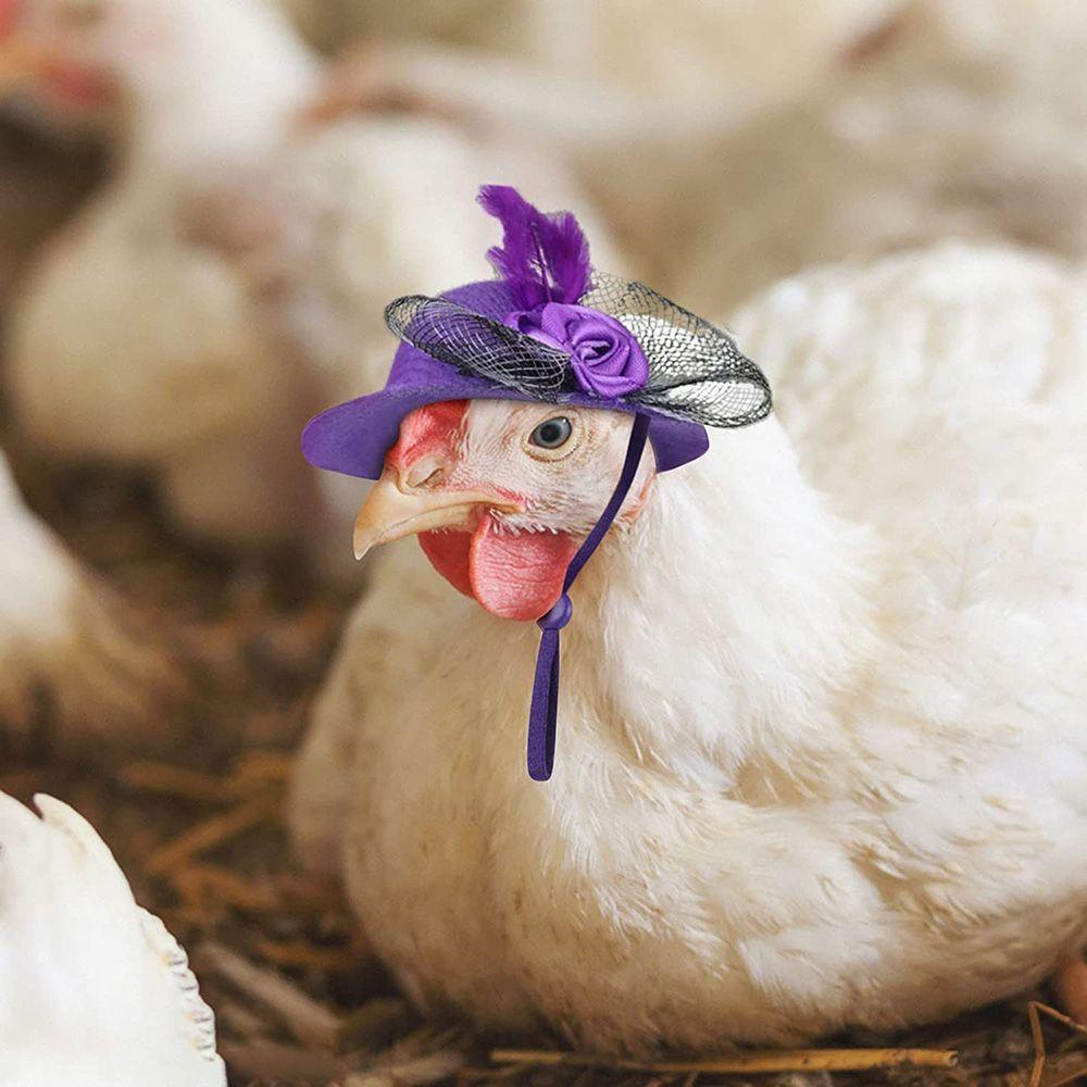 Stylish Show Costum Elastic Strap Duck Pets Supplies Chicken Hats Feather Top Hat Cap for Hens