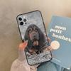 Чехол для телефона iPhone 17 Air 14 16 15 11 12 13 Pro Max 12 mini XR 15 16 Plus 16e с изображением собаки Бассет-хаунд, Задняя крышка