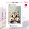 Cute American Shorthair cat Pattern  3pcs 100% Round Full Drill 5D DIY Diamond Painting Embroidery Cross Stitch Rhinestone Décor