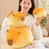 Capybara Plush Toys Cartoon Animal Stuffed Doll Room Sofa Decoration Gifts Kid