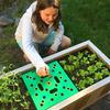 Seed and Seedling Spacer Tool for Bigger Harvest, Seeding Square - Organized Plants & Fewer Weeds – Color-Coded Gardening Template
