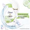 Dove Refreshing & Hydrating Body Wash