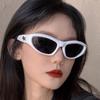 Fashion Glasses Cat Eye Sunglasses Y2K Star Sunglasses Non-Polarized Fashion Accessory