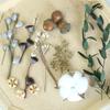Dried Real Flowers & Materials: Pine Cones, Acorns, Cotton, Adhesives, Sunflowers - DIY Scented Floral Decor & Photography Props