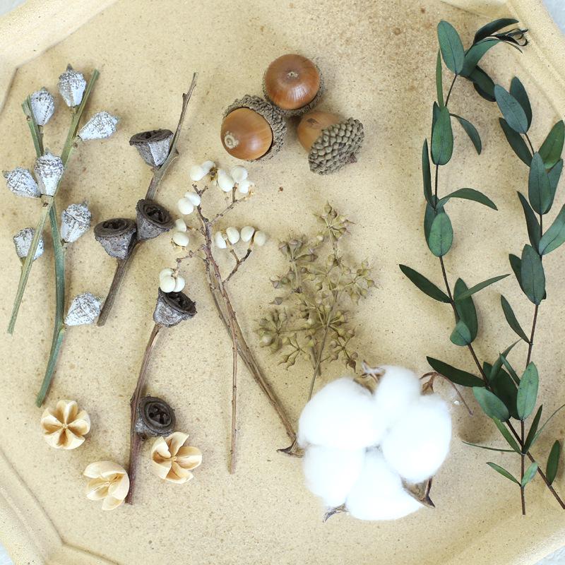 Dried Real Flowers & Materials: Pine Cones, Acorns, Cotton, Adhesives, Sunflowers - DIY Scented Floral Decor & Photography Props