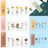 Book Note Marker PET Bookmarks Card Specimen Bookmarks Nature Plants Bookmarks Translucent Flower