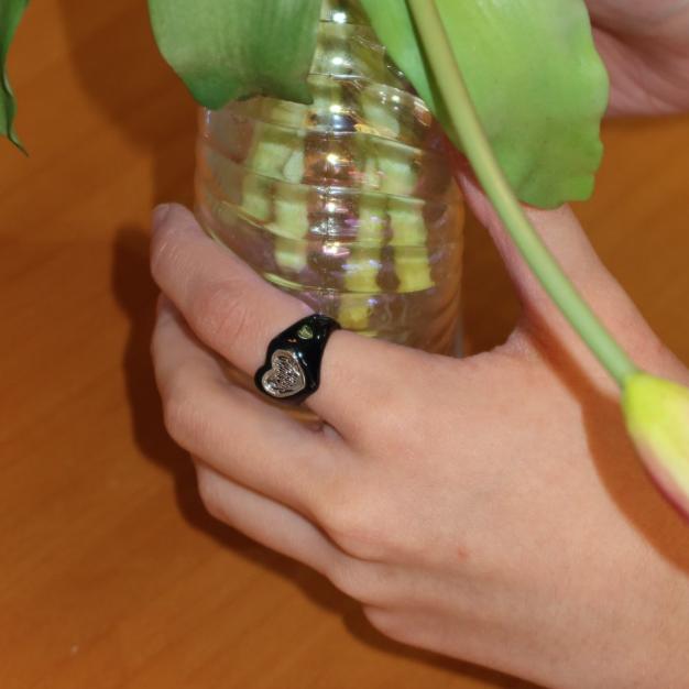 Предзаказ Кольцо для 6-го фанмитинга Stray Kids Stay in Our Little House