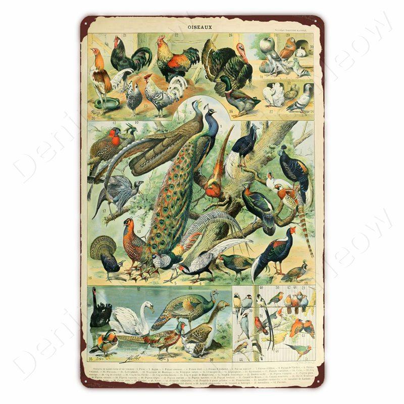 Dinosaur in the Bathroom Wall Art Print Fossil Vintage Metal Tin Sign Club Room Home Decor Animal Bones Poster Painting