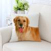 Милая собака Декоративная наволочка для автомобиля Украшения для офиса Гостиная Диван Домашняя наволочка