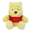 Disney Baby Winnie The Pooh (Plush M)