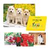 Saesam Senior Discrimination Improvement Board Puzzle Set of 4, Korean Popular Puzzles