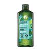 Шампунь Algae Refresh 300 мл