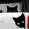 Подглядывание за CAT Cat Black Cat Наклейки на автомобиль Наклейки на окна автомобиля Наклейки для украшения царапин Аксессуары для автомобиля