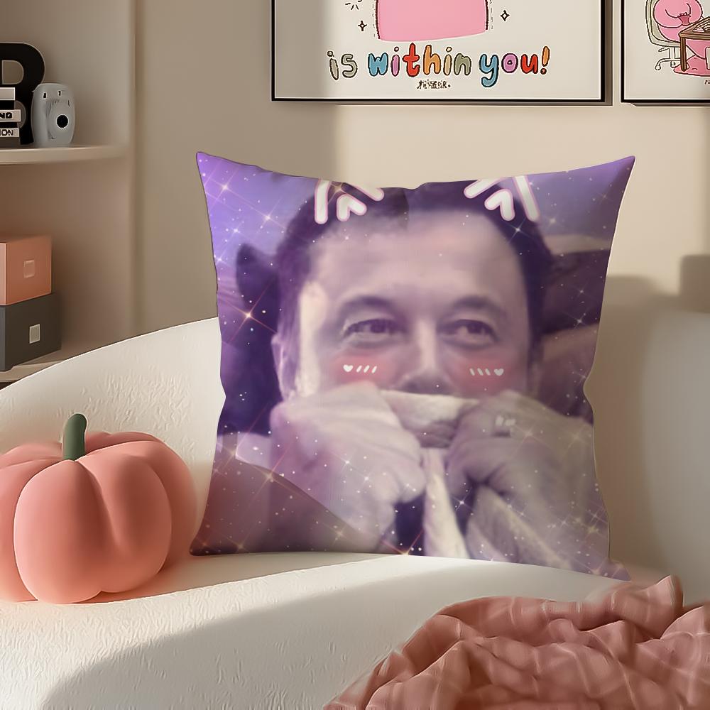 EElon MMusk meme Cushion Cover Pillowcase Short Plush Invisible zipper Room Sofa Cushion Cover