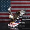 Resin Eagle Sculpture With American Flag Motif Decorative Figurine Living Room Office Independence Day Display