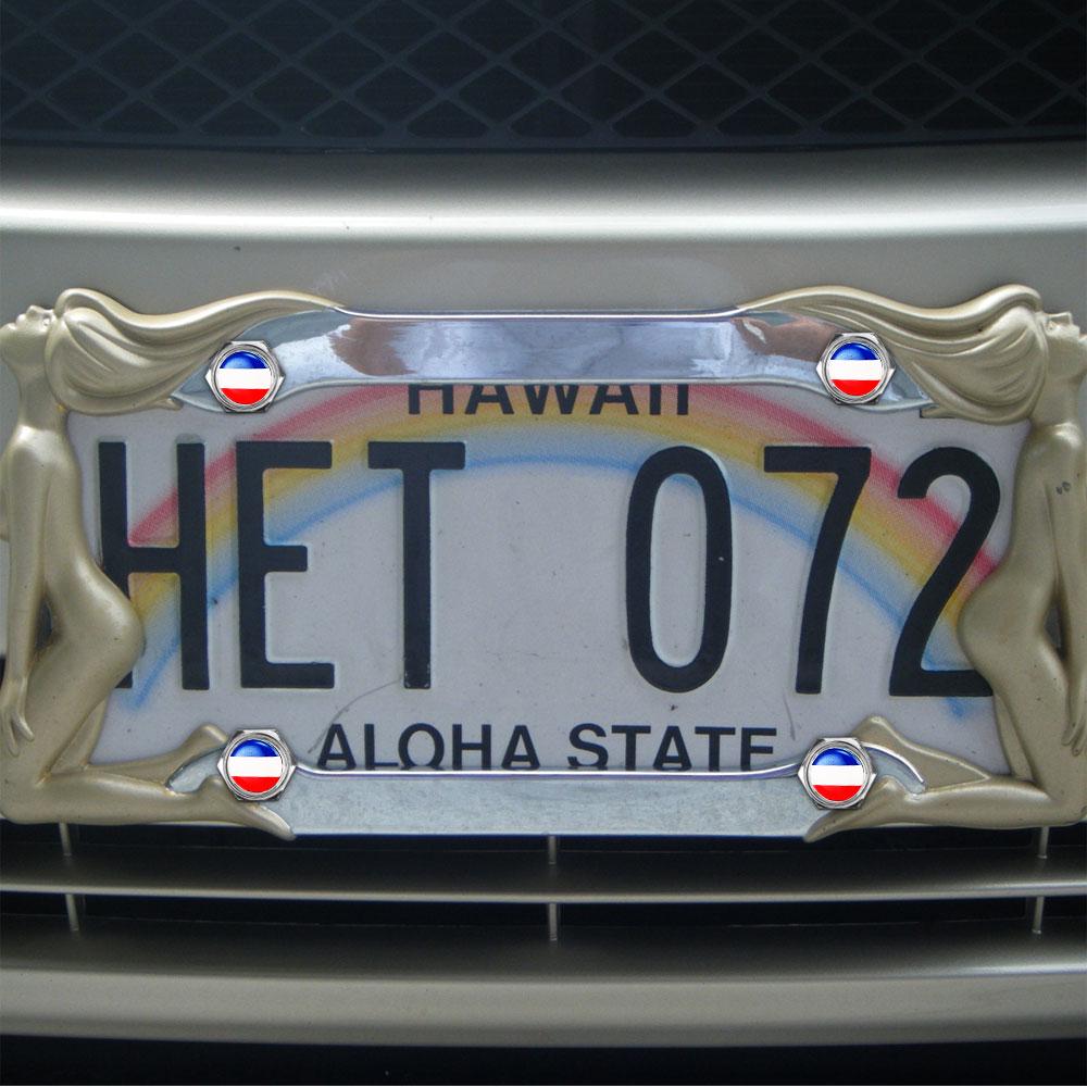 DSYCAR 1 Set Laser Engraved France French Flag Silicon Surface Zinc Alloy Metal Cap Screw for Car License Plate Frame