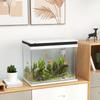 41 Liter Glass Aquarium With Filter System Led Lights Water Pump For Various Fish Species White