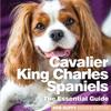Книга Cavalier King Charles Spaniels The Essential Guide by UNKNOWN - Paperback