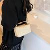 Trendy Street Style Small Square Bag Chic Handbag With Sewing Details
