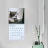 Неразумный кошачий календарь 2026 Янв.2026 - Дек.2026 12-месячный календарь Смешной котенок Настенный планер для украшения дома и офиса