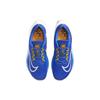Nike Кроссовки мужские Zoom Fly 5 Racer Blue Sundial High-Voltage White DM8968-402