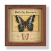 Фото рамка с настоящим specimen бабочки, декоративная картина, 3D украшение, ручная работа DIY, подарок на день рождения, specimen насекомого