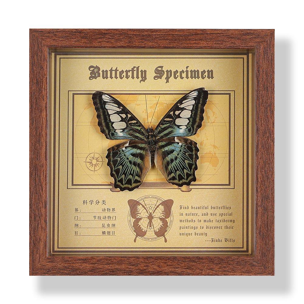 Фото рамка с настоящим specimen бабочки, декоративная картина, 3D украшение, ручная работа DIY, подарок на день рождения, specimen насекомого