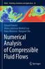 Книга Numerical Analysis of Compressible Fluid Flows : 20