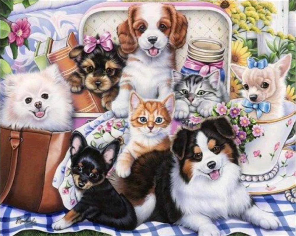 Животное 5D Алмазная картина Полный алмаз Лошадь Сова Попугай Панда Круглая Алмазная мозаика Узор Домашнее украшение Diy Ручная работа Wall St