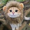 Cat Lion Mane Halloween Costume Lion Costume Cat Cosplay Dress Up Pet Hat for Small Cats and Kittens Party Decoration Wholesale