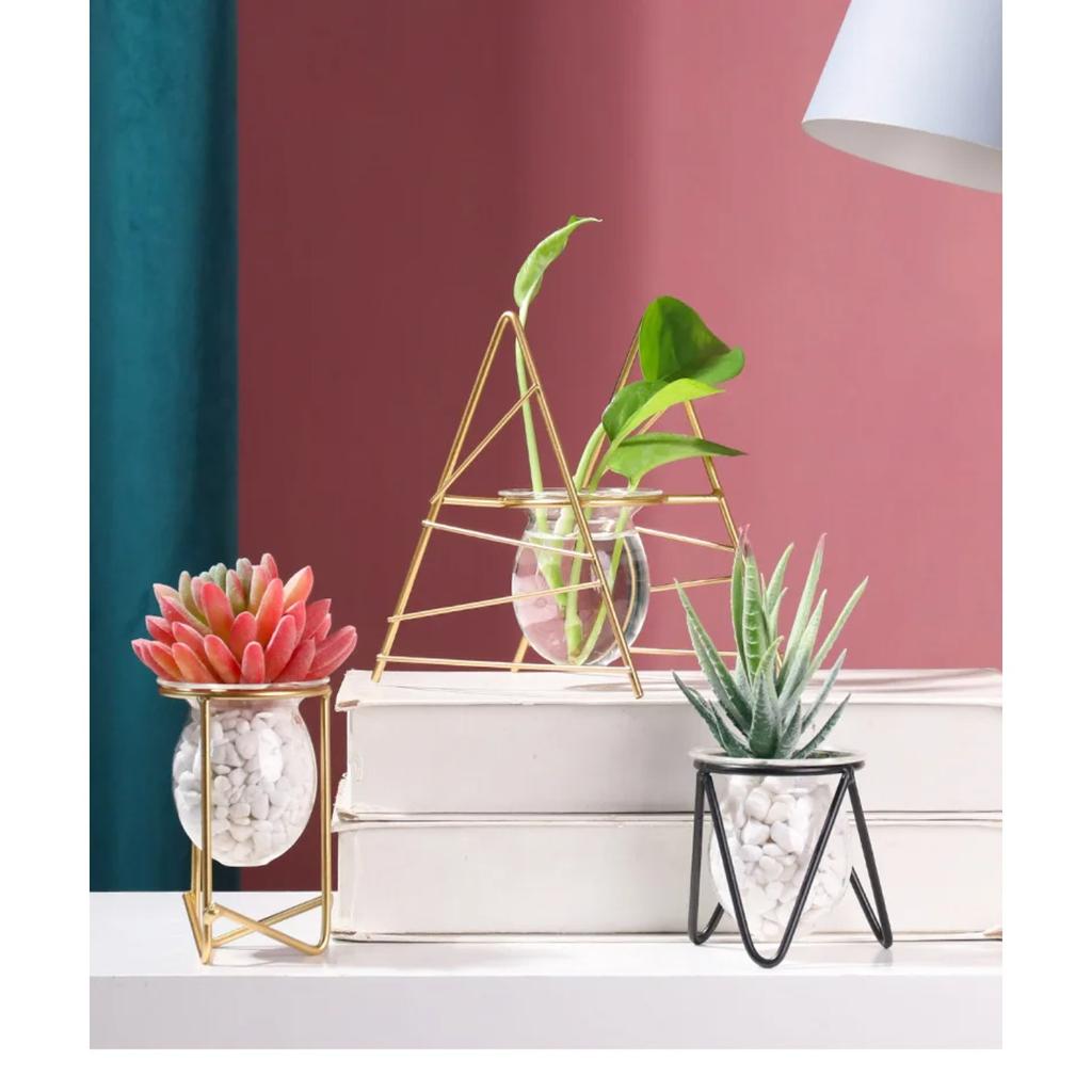 Террариум Ваза для цветов для дома Гидропонная ваза для растений Стеклянные контейнеры Nordic Art Retro Home Garden Craft Украшения Jarrones Hot