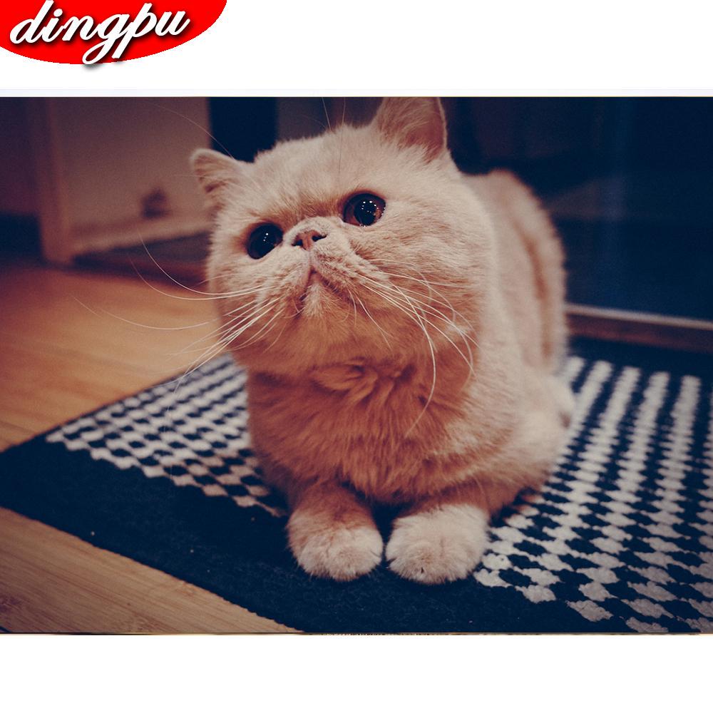 DIY Алмазная картина 5D Животное Полный круглый Алмазная мозаика Кошка Вышивка Украшение дома Распродажа
