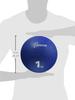 TOEI LIGHT Medicine Ball 1kg H7180 H7180