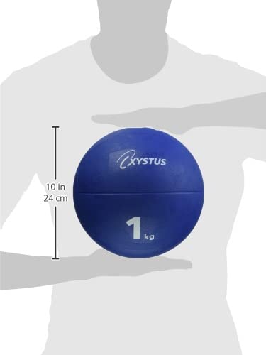TOEI LIGHT Medicine Ball 1kg H7180 H7180