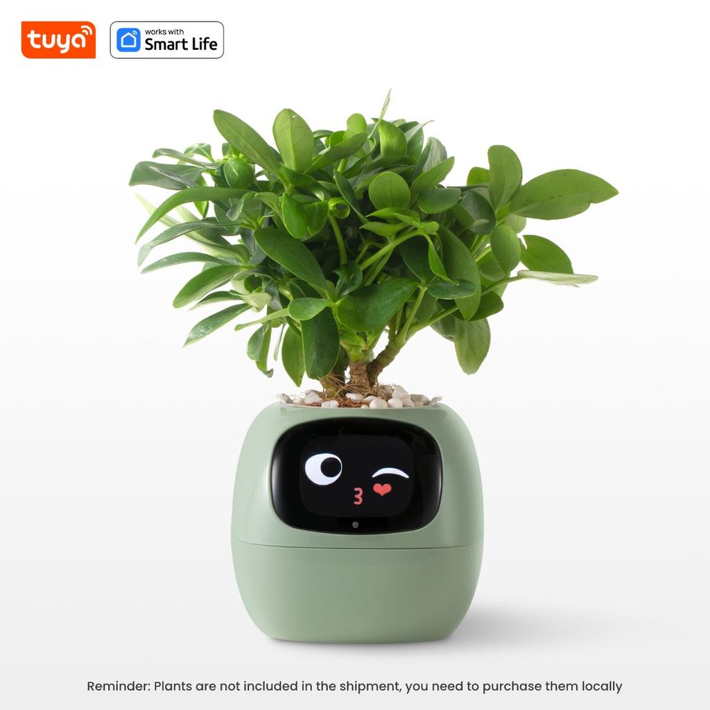 Tuya Ivy Smart Planter,Endless Fun Over 49 Rich Expressions,7 Smart sensors,AI Chips Make Raising Plants Easy and Fun