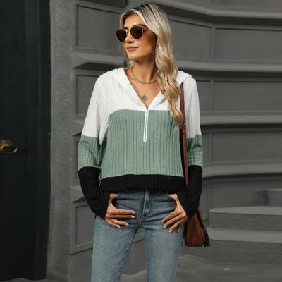 Осень-зима Pit Stripe Brushed Loose Comfortable Color Blocking Splicing Zip Hooded Long Sleeved Hoodies & Толстовки женские